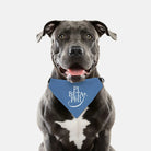 Pi Beta Phi Pet Bandana Pet Bandanas