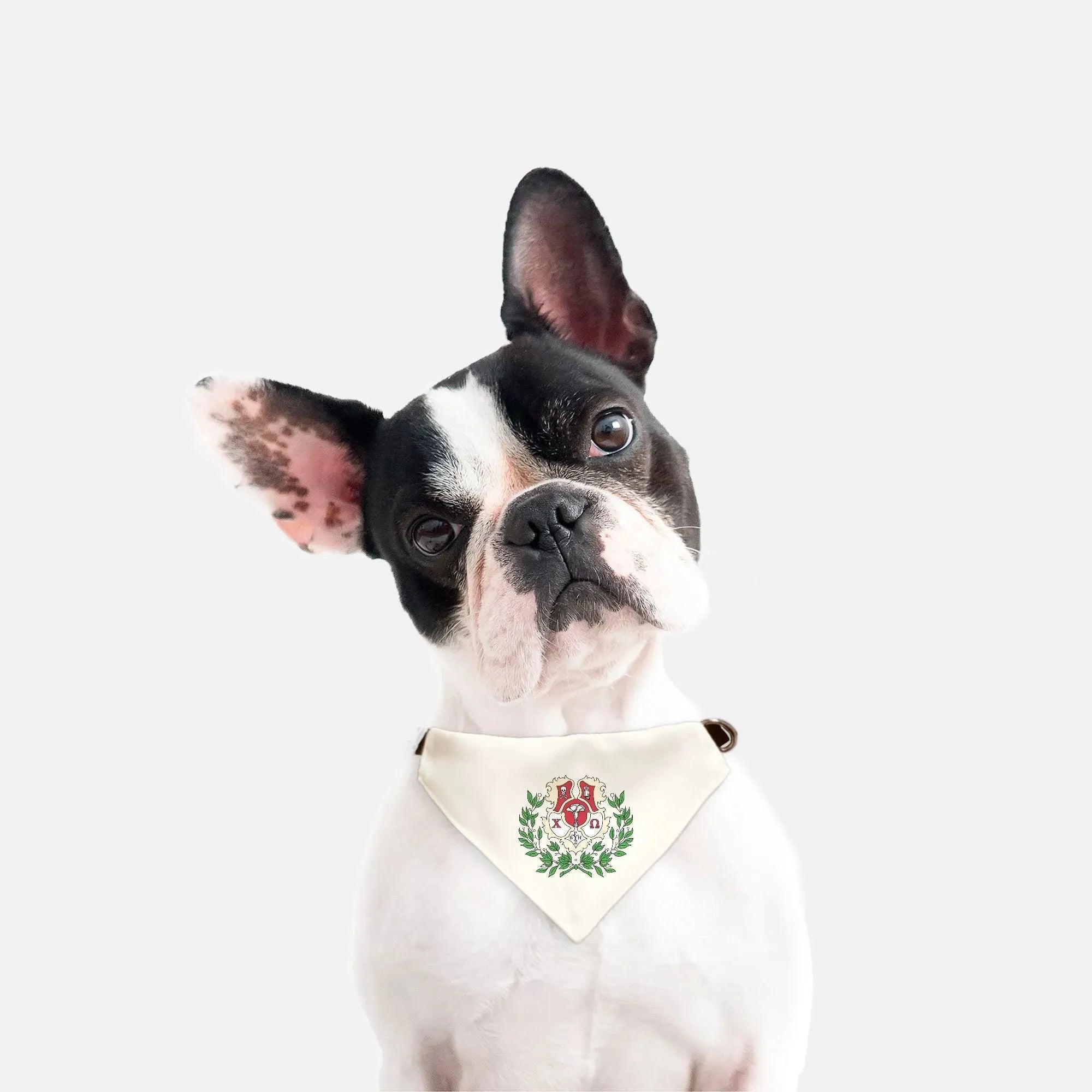 Chi Omega Pet Bandana - Coat of Arms Pet Bandanas