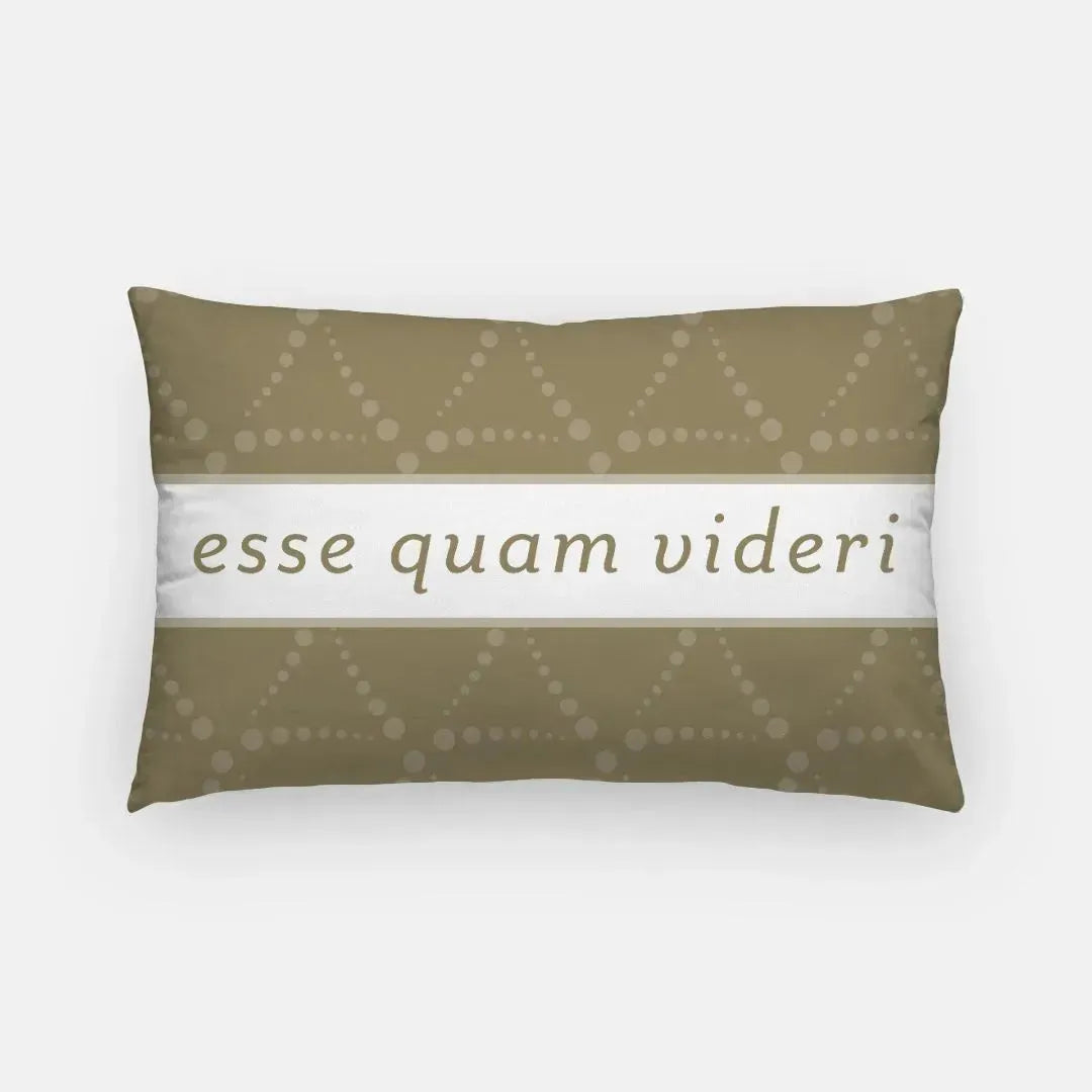 Delta Phi Epsilon Lumbar Pillow Cover - Emblem Pattern Pillow Covers