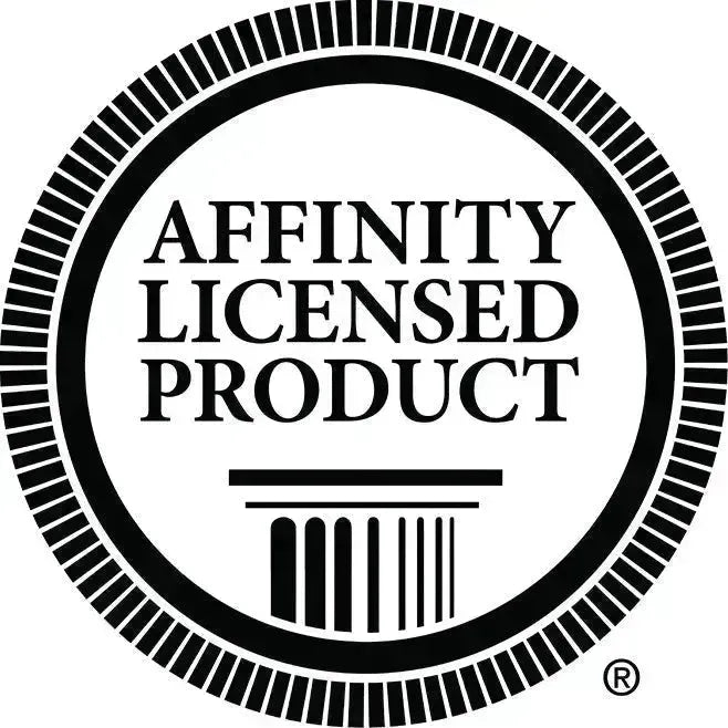 University of Tampa iPhone 15, 14, 13 Mobile Phone Case - Geo Mobile Phone Cases