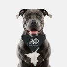 Alpha Phi Pet Bandana - Black Pet Bandanas