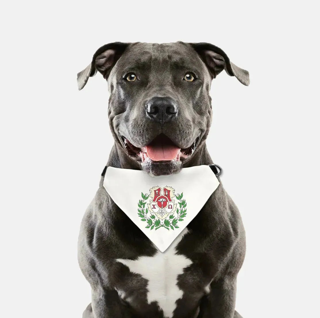 Chi Omega Pet Bandana - Coat of Arms Pet Bandanas