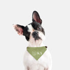 Kappa Delta Pet Bandana - Kaydee Greek Letters Pet Bandanas