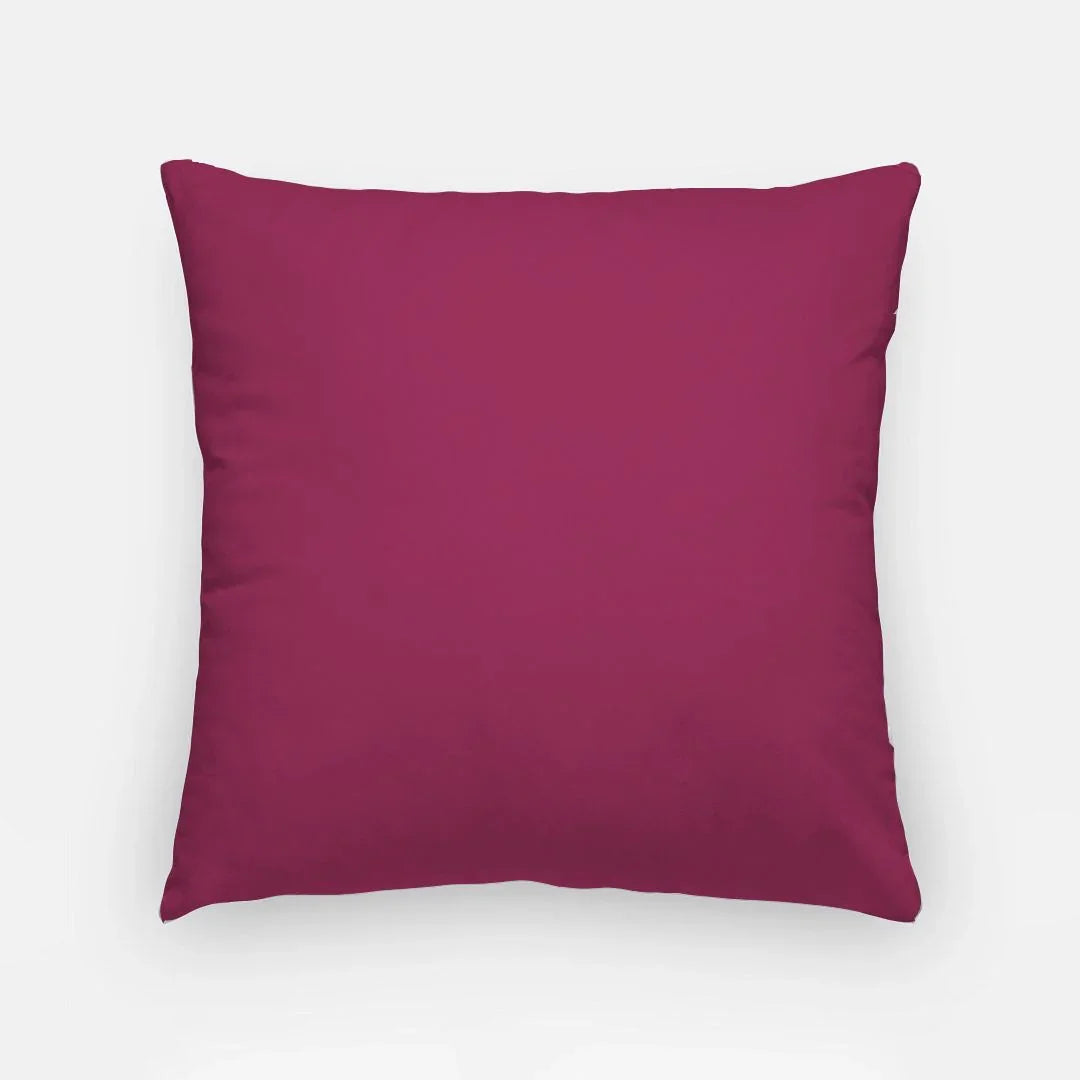 Alpha Phi 150th Anniversary Pillow Cover Pillow Covers