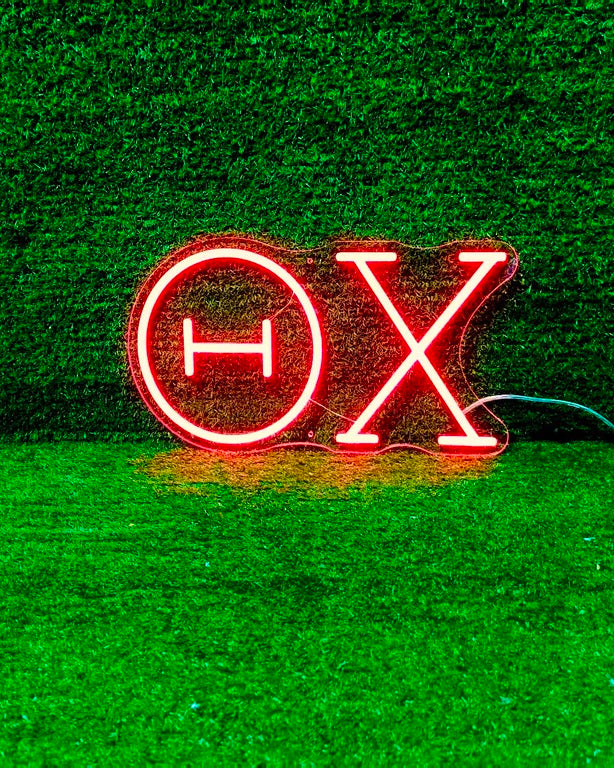 Theta Chi Greek Letters LED Neon Sign w/ Dimmer | Fraternity Wall Sign