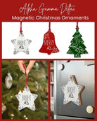 Alpha Gamma Delta Wood Christmas Ornaments / Magnets (Set of 3) Holiday Ornaments