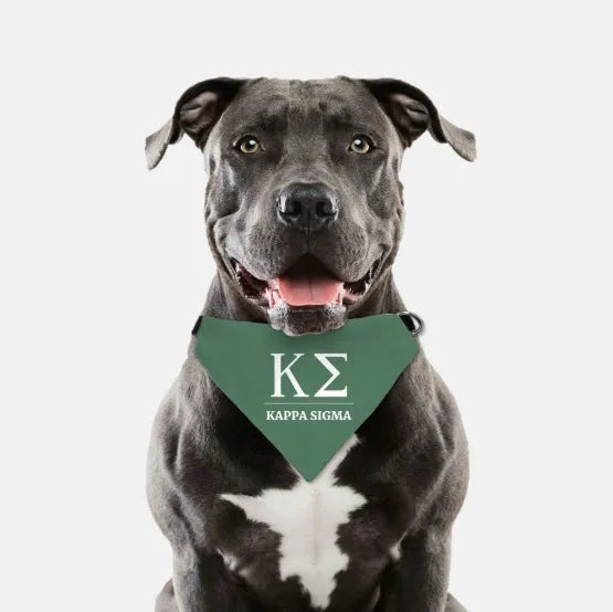 Kappa Sigma Pet Bandana Pet Bandanas