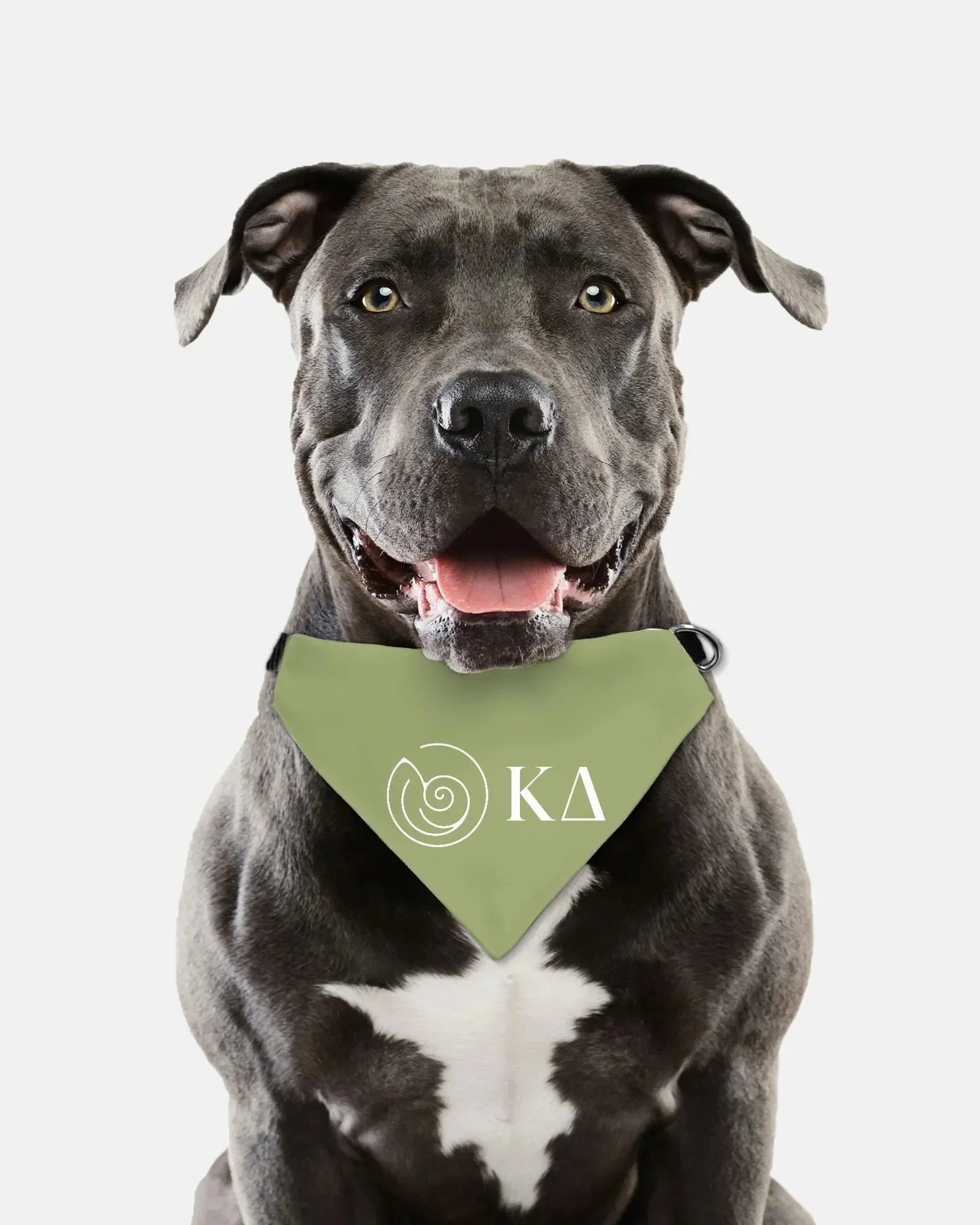 Kappa Delta Pet Bandana - Kaydee Greek Letters Pet Bandanas
