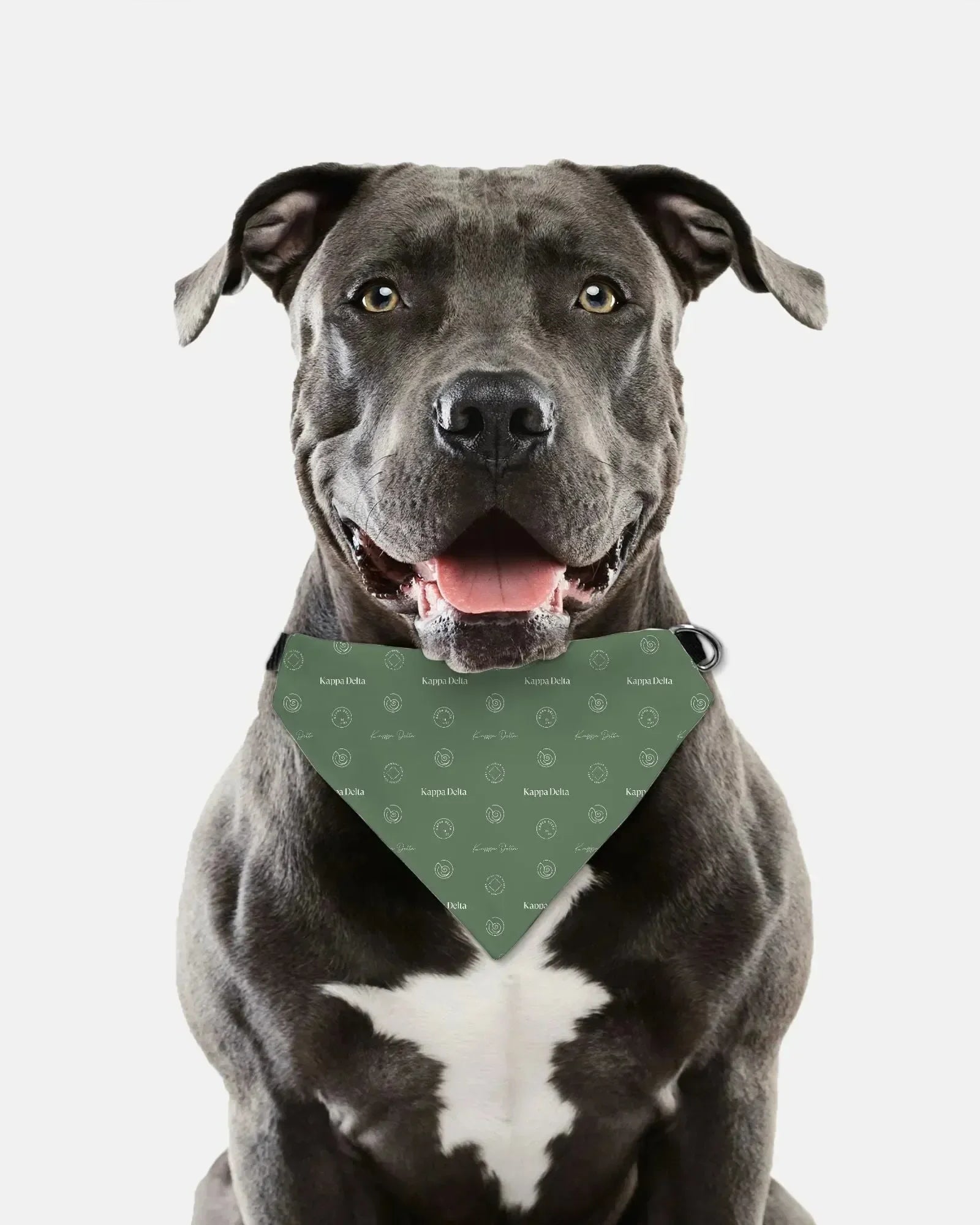 Kappa Delta Pet Bandana - Traditional Pattern Pet Bandanas