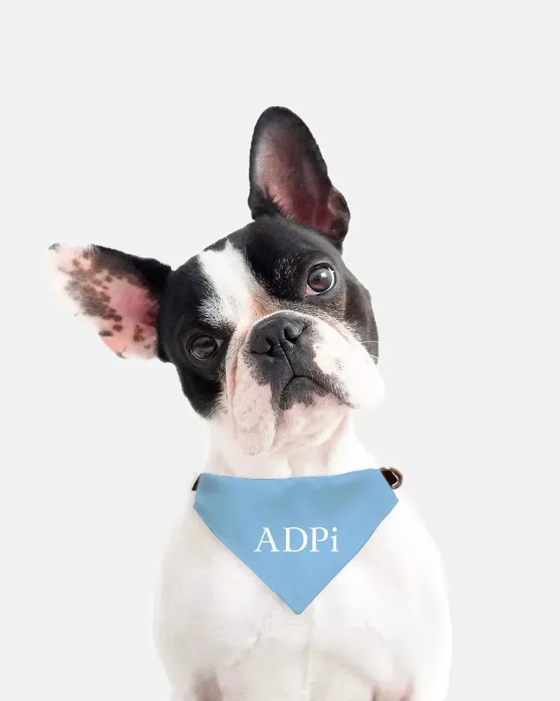 ADPi Pet Bandana Pet Bandanas