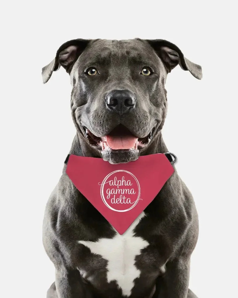 Alpha Gamma Delta Pet Bandana Pet Bandanas