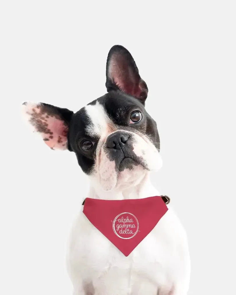Alpha Gamma Delta Pet Bandana Pet Bandanas