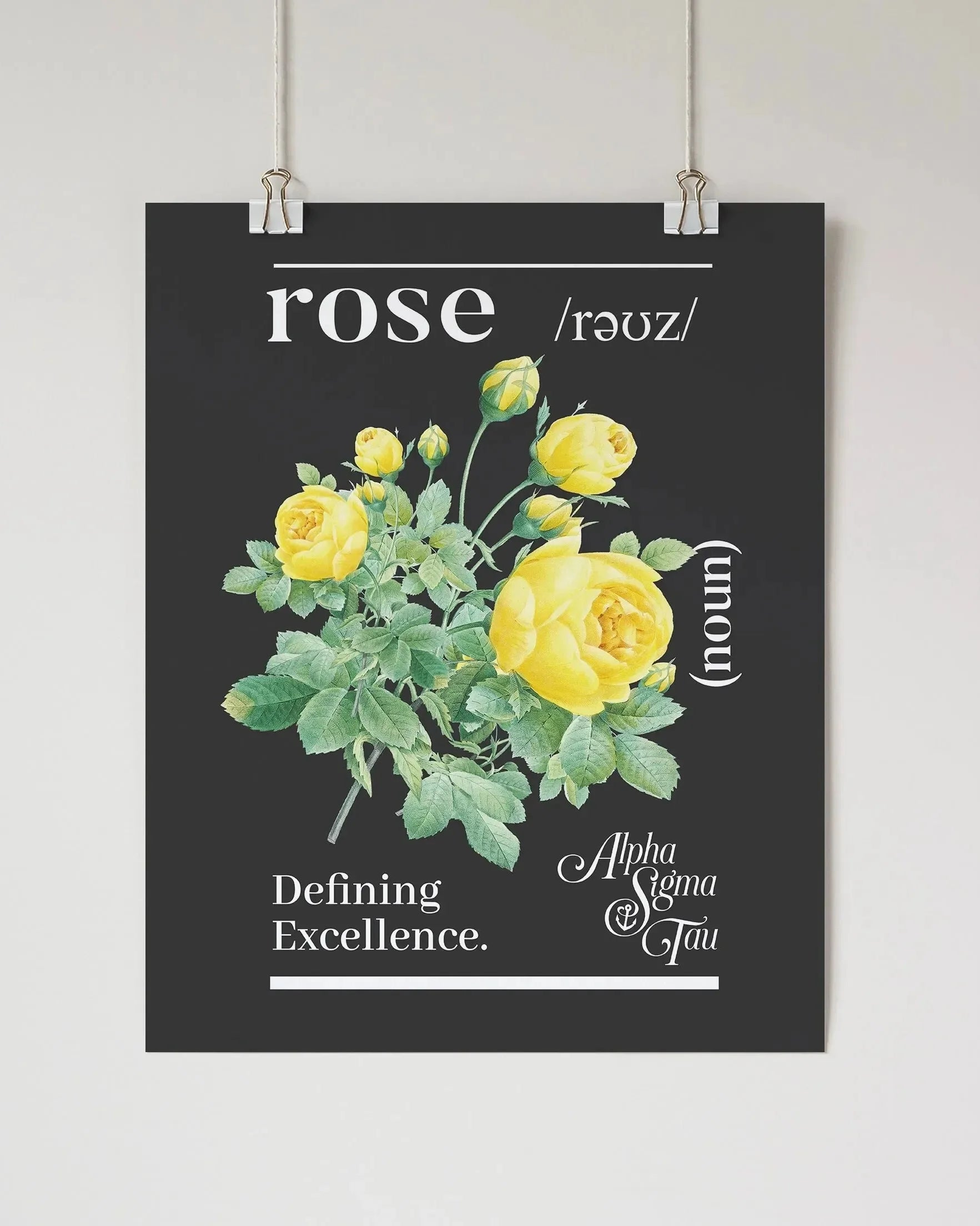 Alpha Sigma Tau 16x20 Poster - Rose Definition Wall Art & Signs