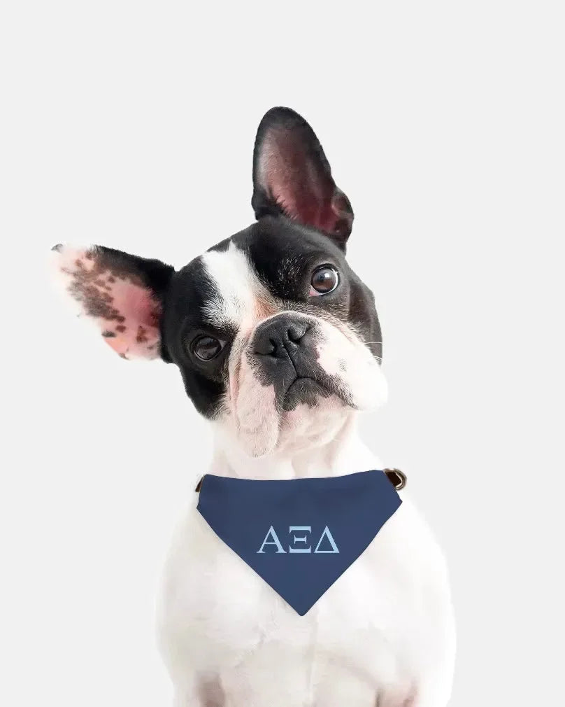 Alpha Xi Delta Pet Bandana - Greek Letters Pet Bandanas