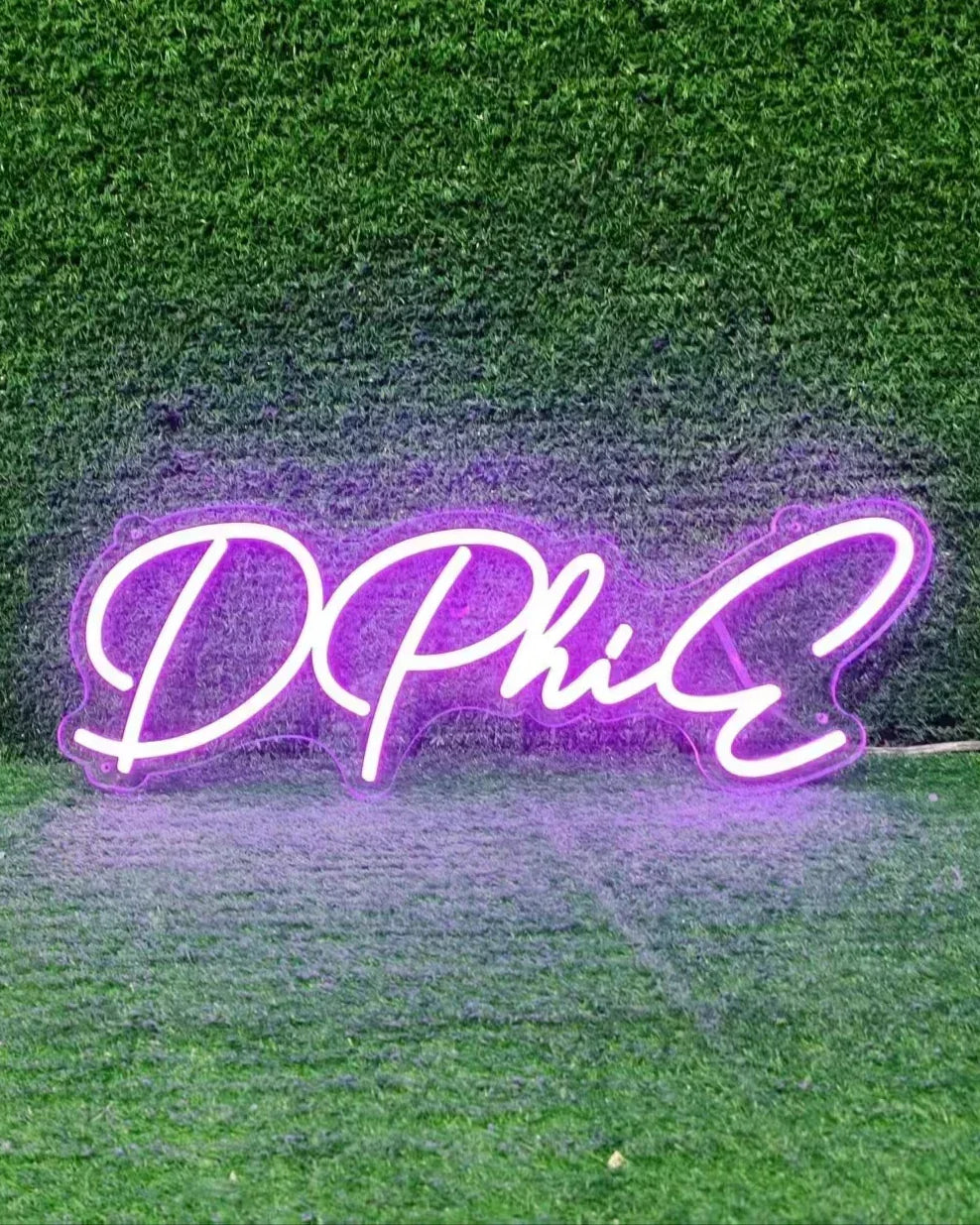 DPHIE LED Neon Sign w/ Dimmer Neon Signs