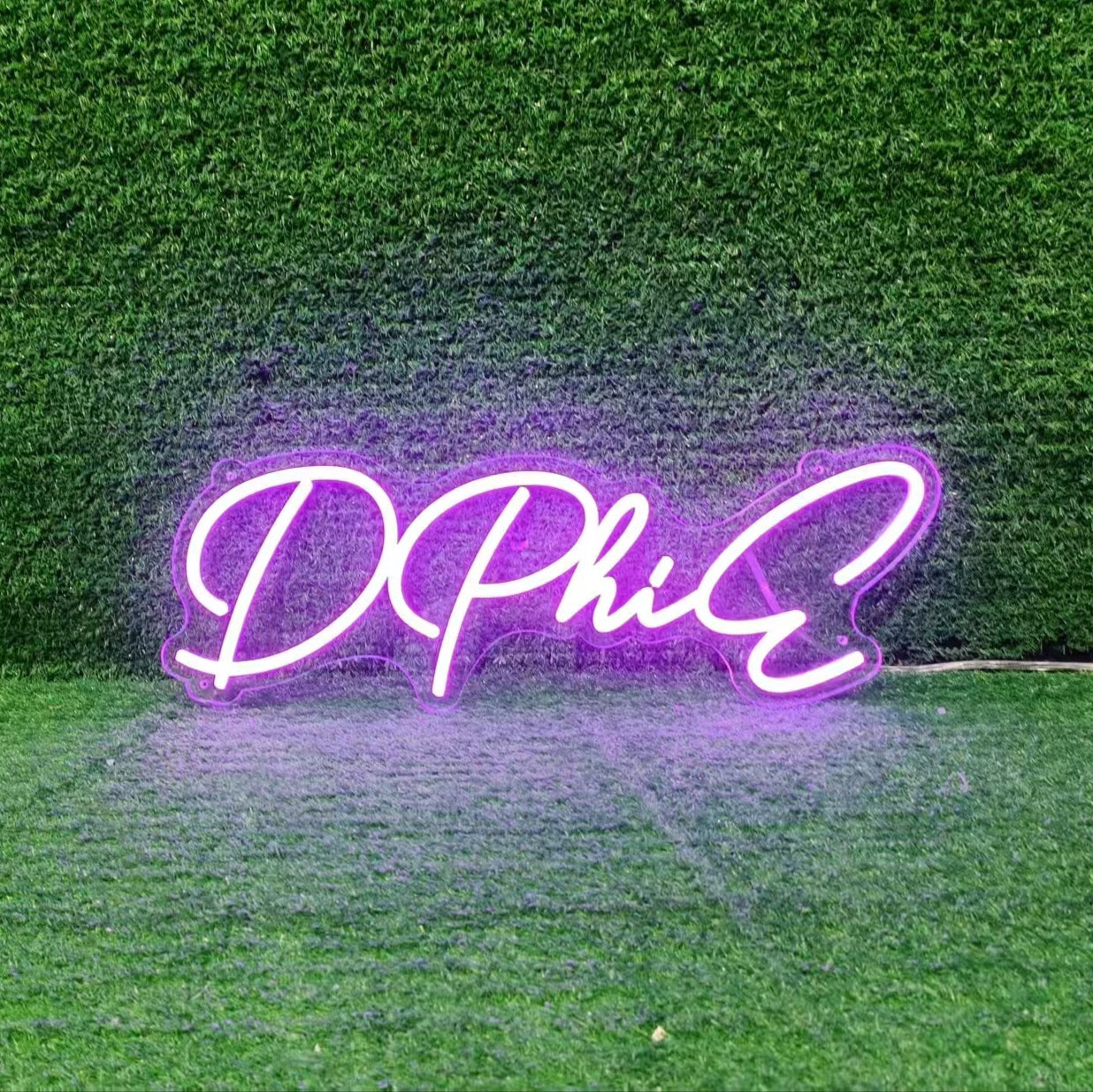 DPHIE LED Neon Sign w/ Dimmer Neon Signs