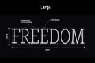 FREEDOM LED Neon Sign w/ Dimmer Neon Signs