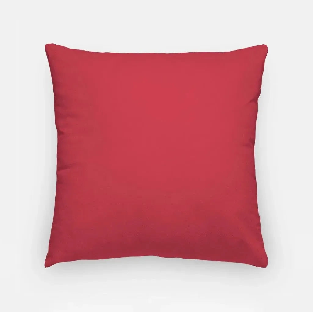 Alpha Omicron Pi 18" Throw Pillow Cover - Sisters for Life Pillow Covers