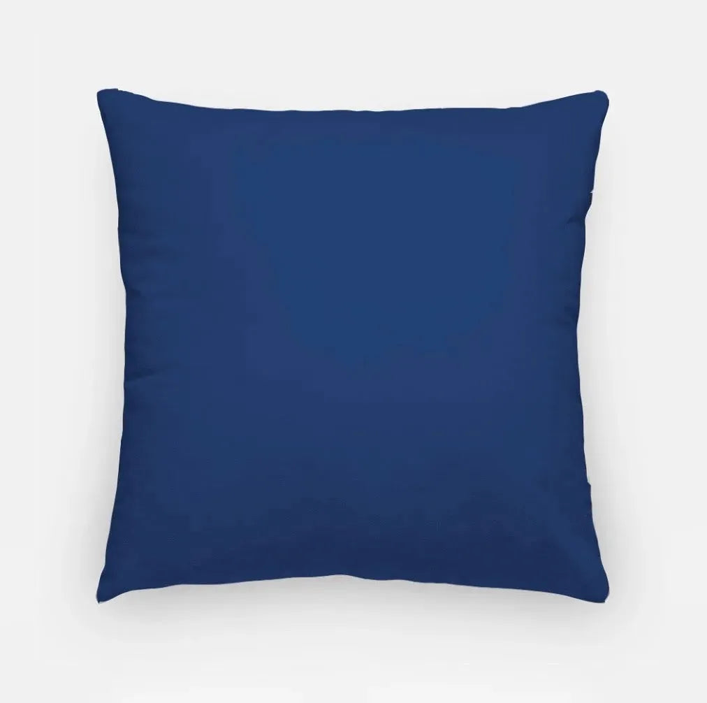 Delta Gamma 18" Rainbow Throw Pillow Cover Pillow Covers