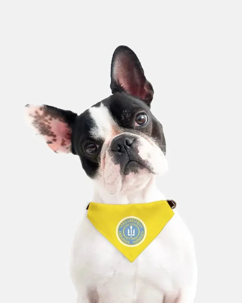 Philadelphia Ukrainian Nationals Gold Pet Bandana Pet Bandanas