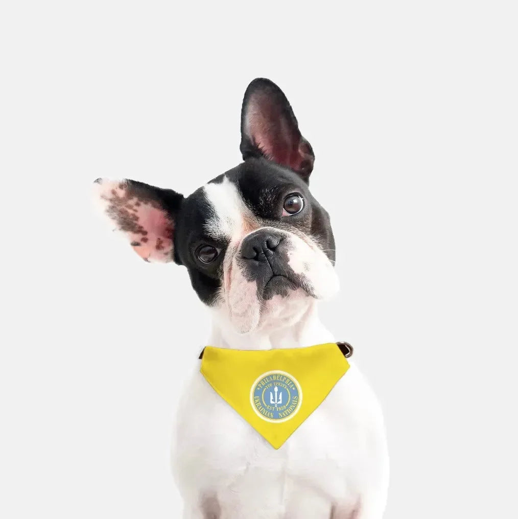 Philadelphia Ukrainian Nationals Gold Pet Bandana Pet Bandanas