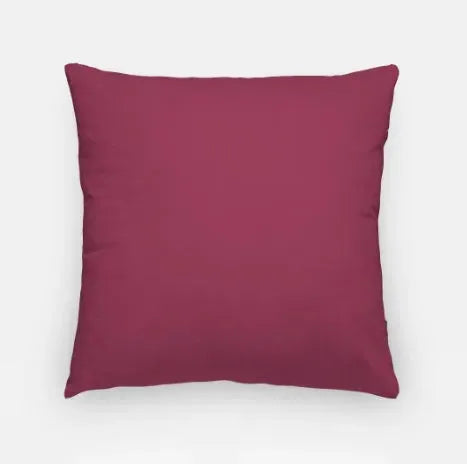 Pi Beta Phi 18" Traditional Throw Pillow Cover Pillow Covers