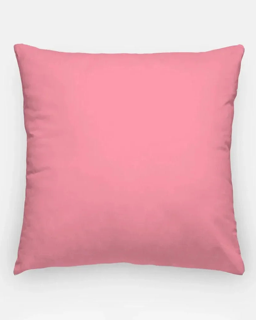Delta Zeta 18" Traditional Throw Pillow Cover Pillow Covers