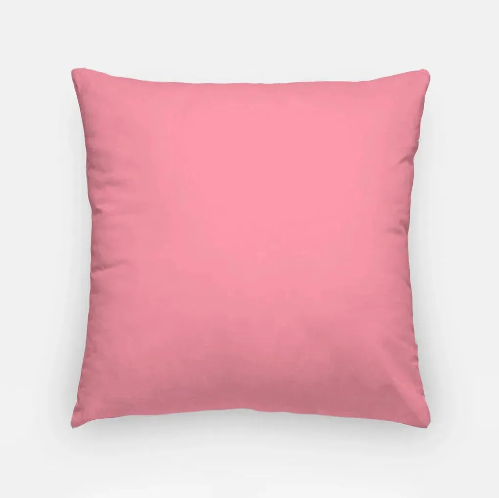 Delta Zeta 18" Traditional Throw Pillow Cover Pillow Covers