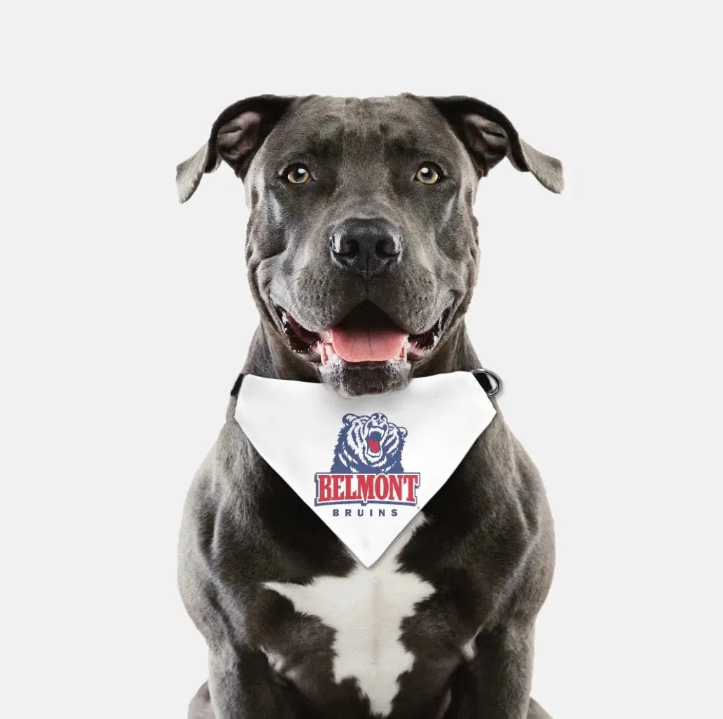 Belmont University Pet Bandana Pet Bandanas