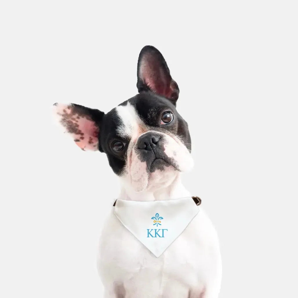 Kappa Kappa Gamma Pet Bandana Pet Bandanas