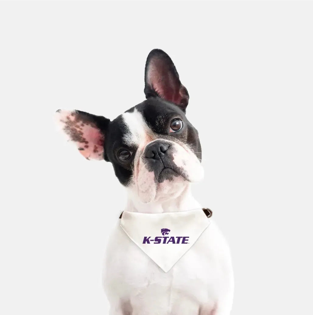 Kansas State University Pet Bandana - K-STATE Pet Bandanas