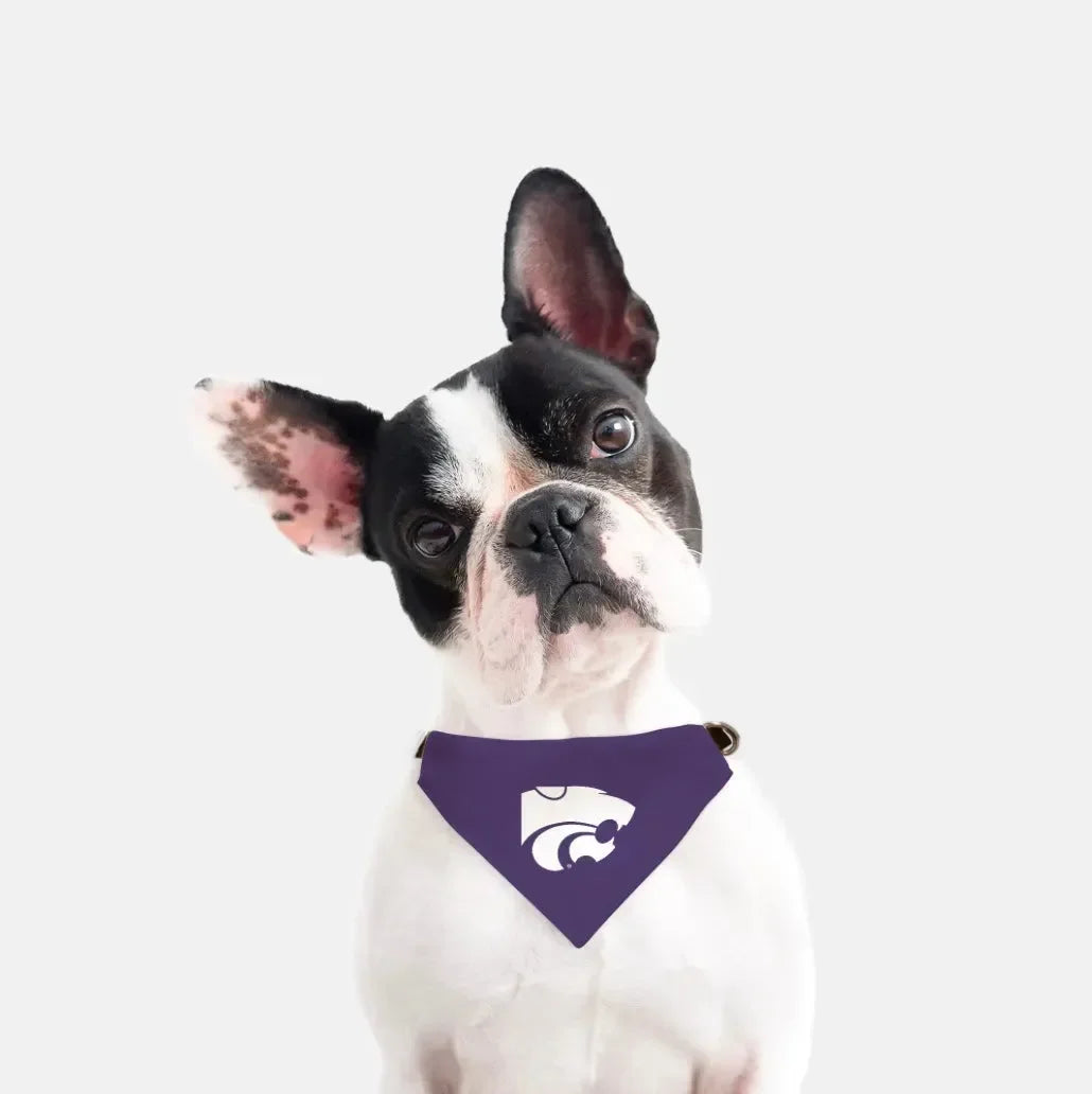 Kansas State University Wildcat Pet Bandana - Purple Pet Bandanas