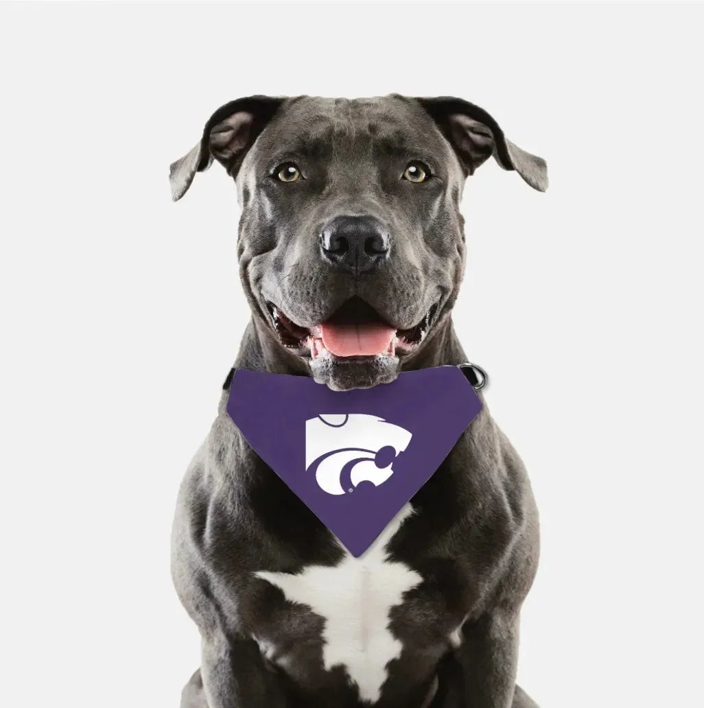 Kansas State University Wildcat Pet Bandana - Purple Pet Bandanas