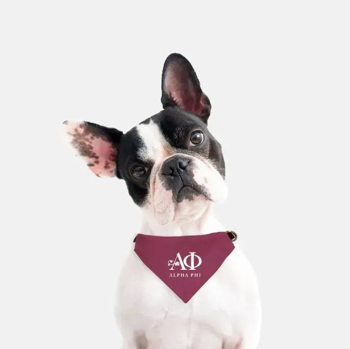 Alpha Phi Pet Bandana - Bordeaux Pet Bandanas