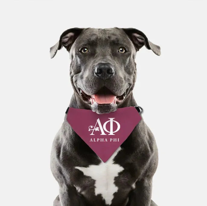 Alpha Phi Pet Bandana - Bordeaux Pet Bandanas