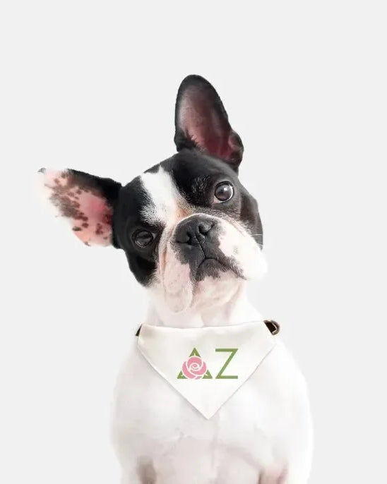 Delta Zeta Traditional Pet Bandana Pet Bandanas