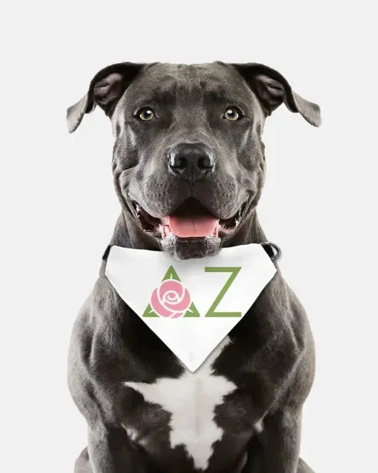 Delta Zeta Traditional Pet Bandana Pet Bandanas