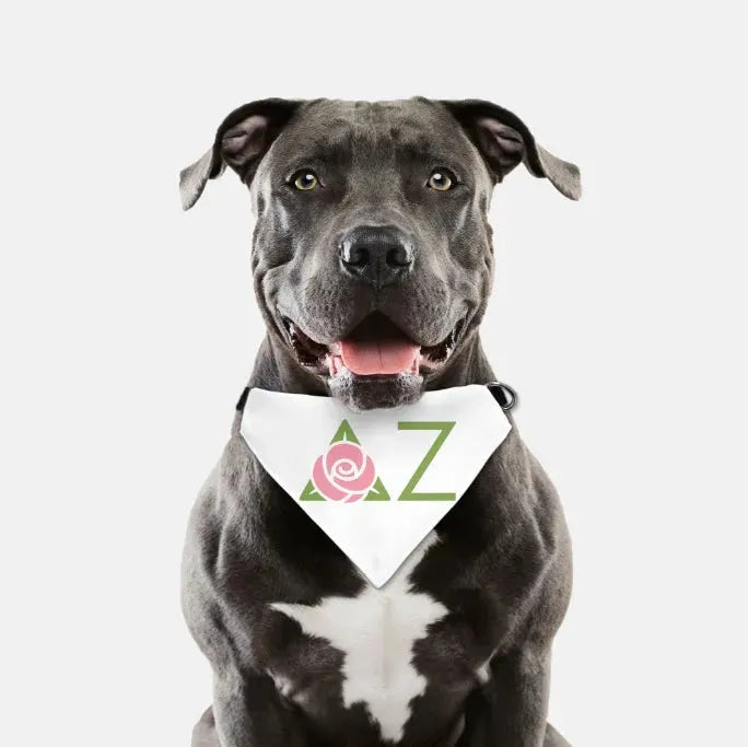 Delta Zeta Traditional Pet Bandana Pet Bandanas