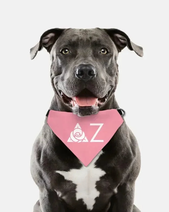 Delta Zeta Traditional Pet Bandana - Pink Pet Bandanas