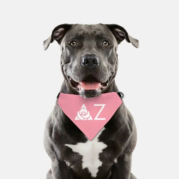 Delta Zeta Traditional Pet Bandana - Pink Pet Bandanas