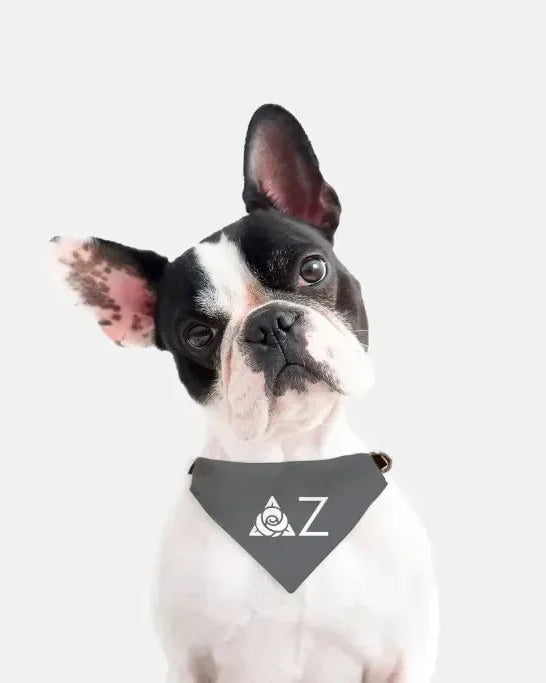 Delta Zeta Traditional Pet Bandana - Gray Pet Bandanas