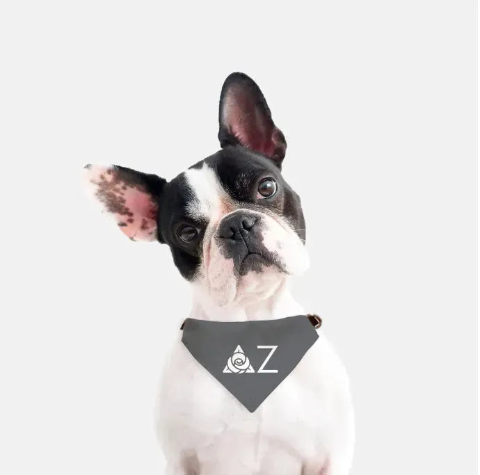 Delta Zeta Traditional Pet Bandana - Gray Pet Bandanas