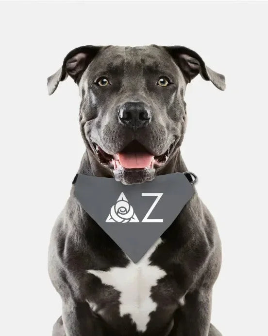 Delta Zeta Traditional Pet Bandana - Gray Pet Bandanas
