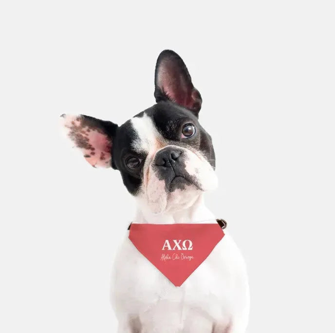 Alpha Chi Omega Pet Bandana - Scarlet Pet Bandanas