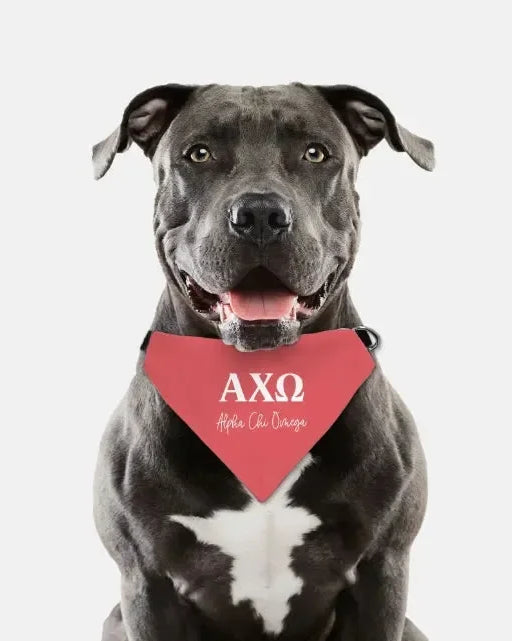 Alpha Chi Omega Pet Bandana - Scarlet Pet Bandanas