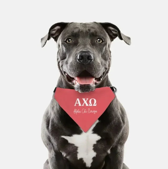 Alpha Chi Omega Pet Bandana - Scarlet Pet Bandanas