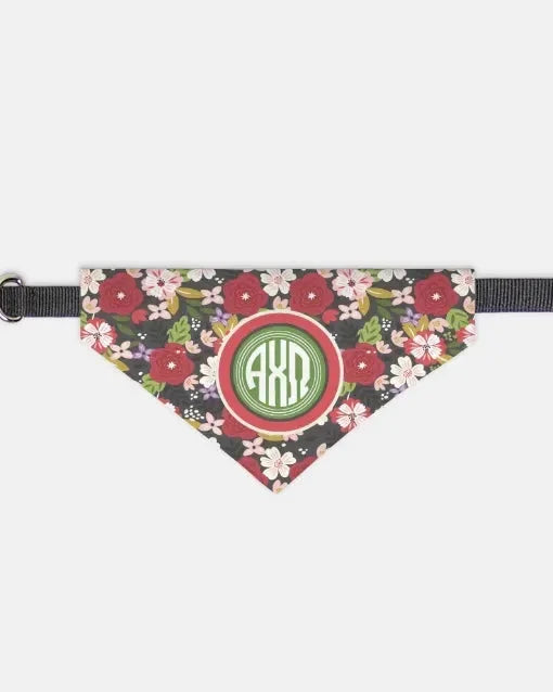 Alpha Chi Omega Pet Bandana - Modern Floral Small Pet Bandanas