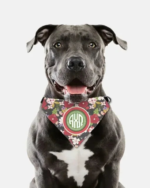 Alpha Chi Omega Pet Bandana - Modern Floral Pet Bandanas