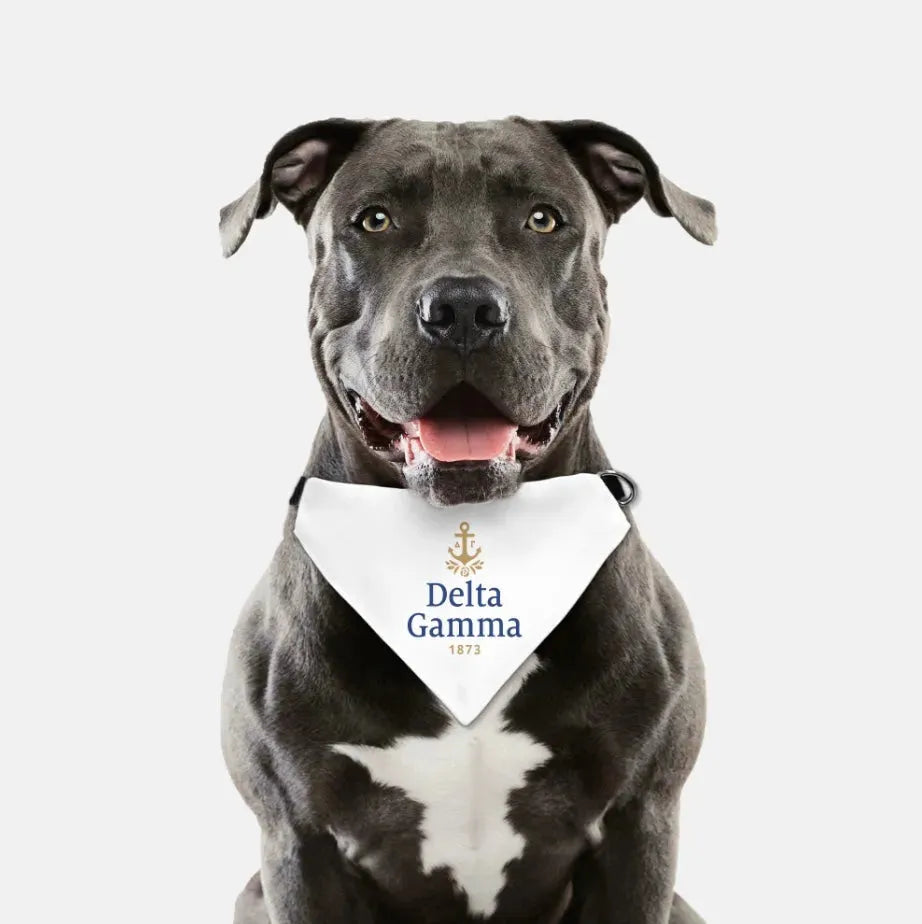 Delta Gamma Traditional Pet Bandana Pet Bandanas