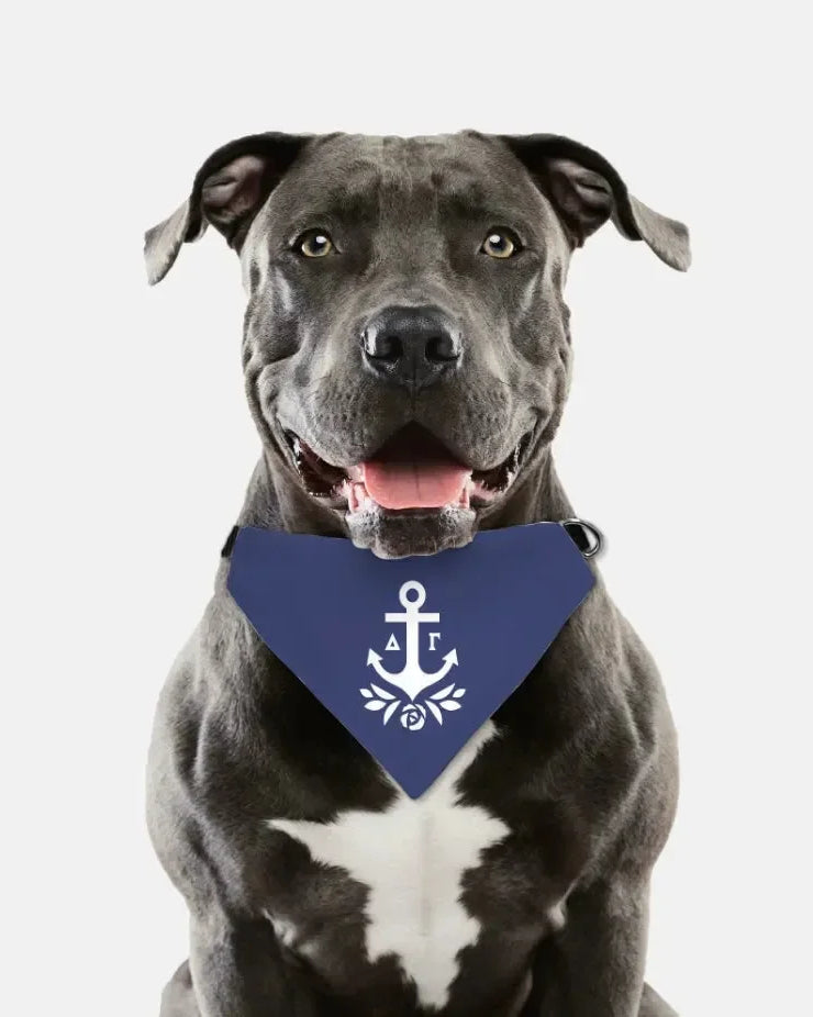 Delta Gamma Pet Bandana - Brandmark Pet Bandanas